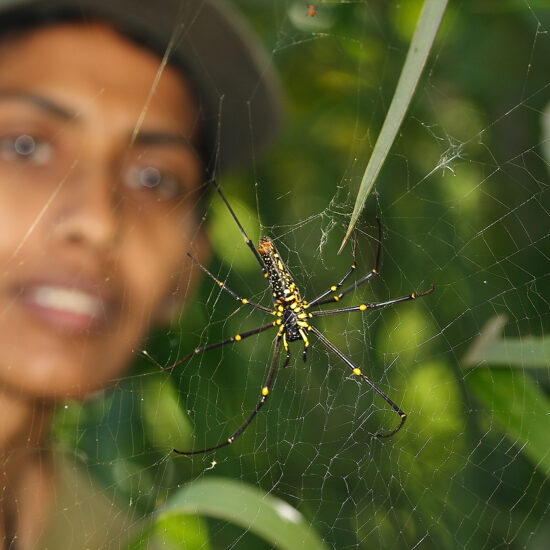 Certified Naturalist Course