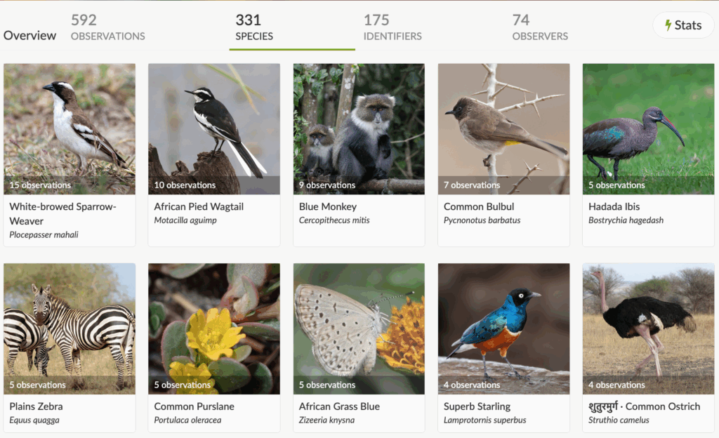 330+ species documented by citizens during UNEA—proof that science happens everywhere, not just in meeting rooms